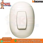 PULSADOR TIMBRE ADOSABLE 10A 250V OVAL MARFIL