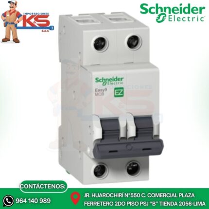 INTERRUPTOR TERMOMAGNETICO 2P 50A EASY9 10KA 220V CURVA C